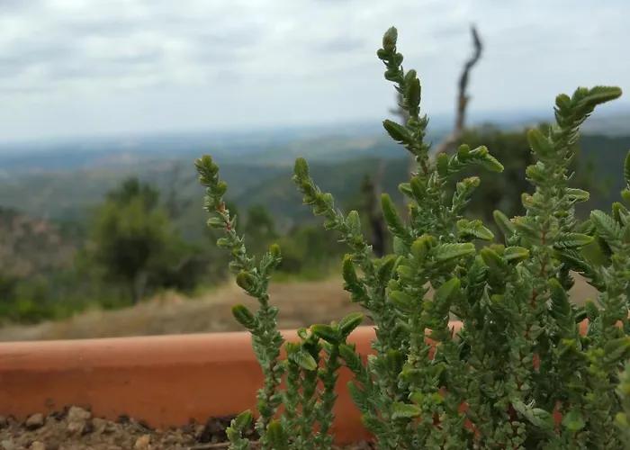 בית כפרי Casa Atman מונצ'יק