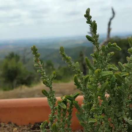 Hétvégi ház Casa Atman Monchique