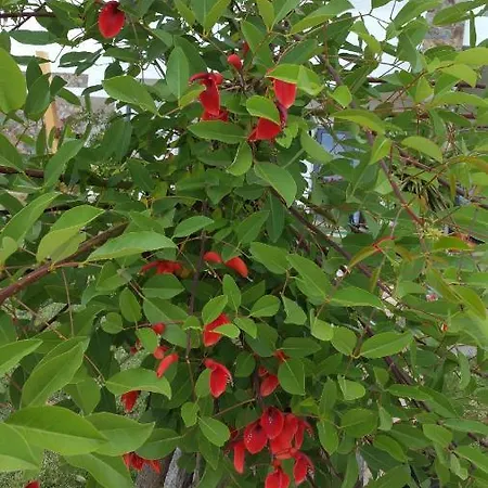 منزل ريفي Casa Atman *